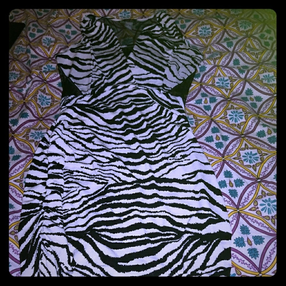 Zebra striped dress